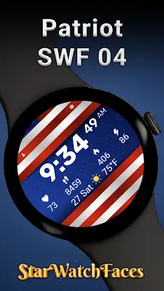 Patriot SWF 04 screenshot 1