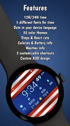 Patriot SWF 04 screenshot 3