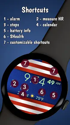 Patriot SWF 04 screenshot 5
