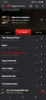 PlayerPro Music Player screenshot 5