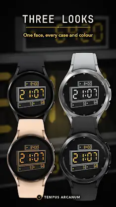 Flap Segment Clock Watch Face screenshot 3
