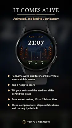 Wizard Stadium Watch Face screenshot 2