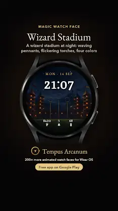 Wizard Stadium Watch Face screenshot 8