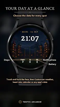 Wizard Stadium Watch Face screenshot 4