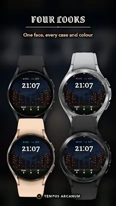 Wizard Stadium Watch Face screenshot 3