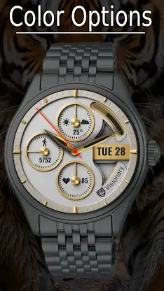Classic Watch Face screenshot 2