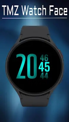 Counter Watch Face screenshot 1