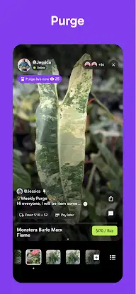 Palmstreet: Buy & sell LIVE screenshot 4