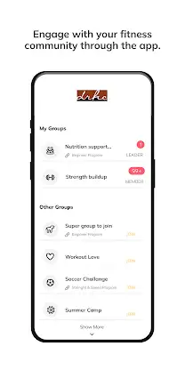 theDRHC screenshot 7
