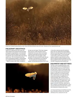 Outdoor Photography screenshot 5