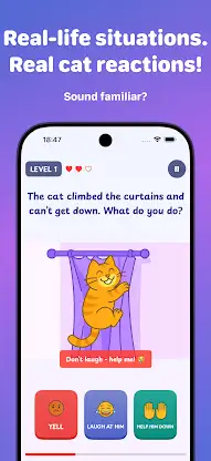 CatCoach - Train your cat! screenshot 2