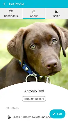 Dogwood Vet screenshot 4