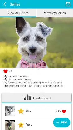 Dogwood Vet screenshot 5