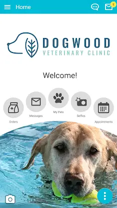 Dogwood Vet screenshot 1