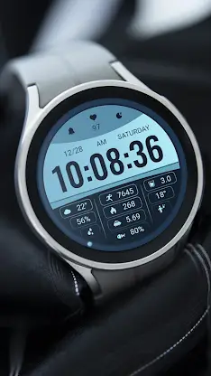 Blue Coast ZKin Watch Face screenshot 2
