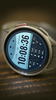 Blue Coast ZKin Watch Face screenshot 3