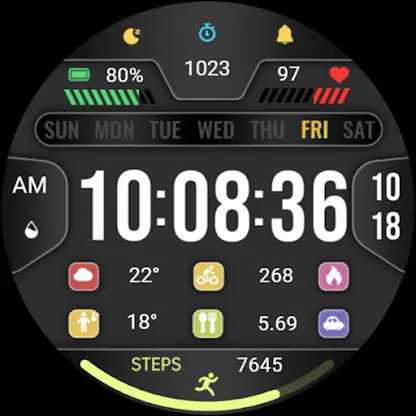 Business Clarity ZKin Watch screenshot 6