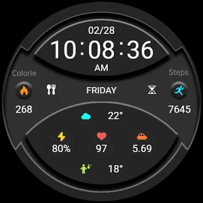 ZKin Watch Dark Gray Component screenshot 7