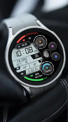 Practical LCD Screen ZKinWatch screenshot 2