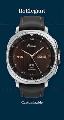 RoElegant screenshot 5