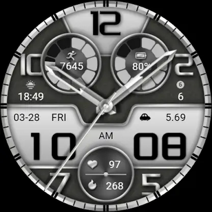 Silver Emboss ZKin Watch screenshot 8