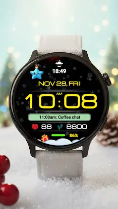 WIN Snowfall Digital Pro screenshot 1