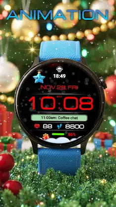 WIN Snowfall Digital Pro screenshot 2