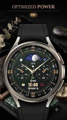 WFP 309 Elegant watch face screenshot 4