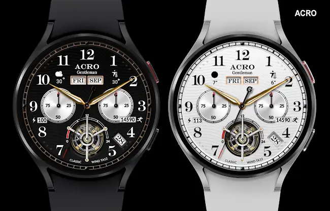 ACRO 29 Classic wind TA12Watch screenshot 7