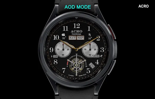 ACRO 29 Classic wind TA12Watch screenshot 8