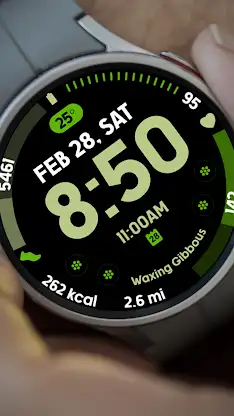 Active Vivid 2 screenshot 1
