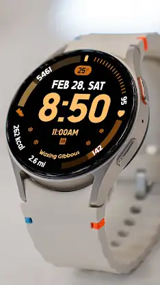Active Vivid 2 screenshot 2