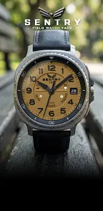 BLZ SENTRY - Field Watch Face screenshot 8