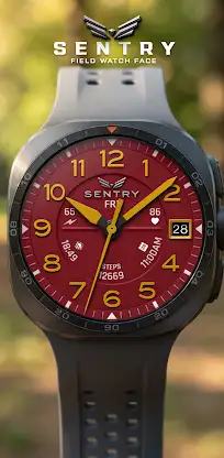 BLZ SENTRY - Field Watch Face screenshot 7