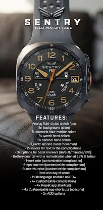 BLZ SENTRY - Field Watch Face screenshot 1