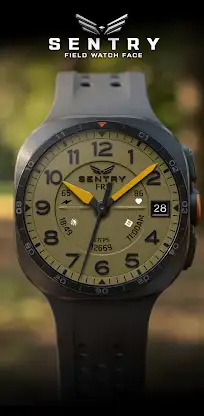 BLZ SENTRY - Field Watch Face screenshot 5
