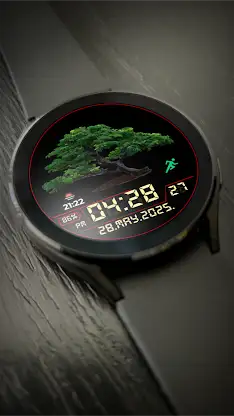 Bonsai Tree screenshot 2