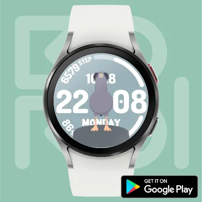 Curious Pigeon Watch face screenshot 2