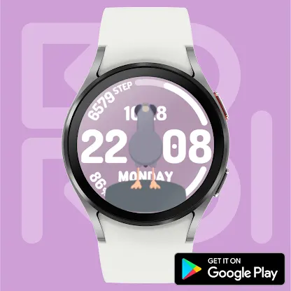Curious Pigeon Watch face screenshot 7