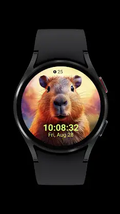 capybara cute_001 screenshot 2