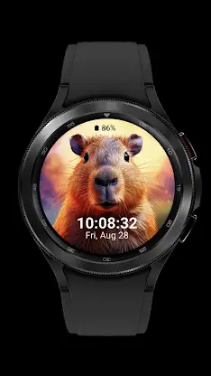 capybara cute_001 screenshot 8