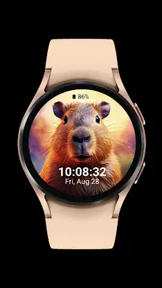 capybara cute_001 screenshot 5