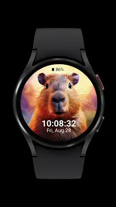 capybara cute_001 screenshot 6