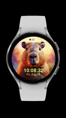 capybara cute_001 screenshot 3