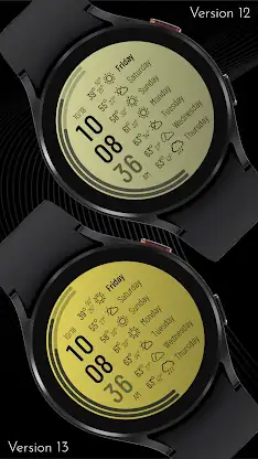 CELEST5565 Data Hub Watch screenshot 7