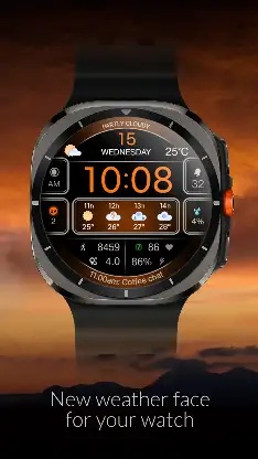 CFS103 Weather screenshot 6