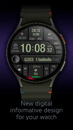 CFS105 Digital screenshot 1