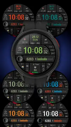 CFS105 Digital screenshot 3