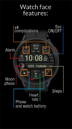 CFS105 Digital screenshot 4