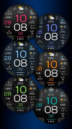 CFS108 Digital screenshot 3